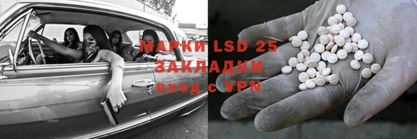 мяу мяу мука Аркадак