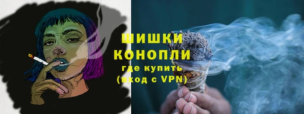 шишки Армянск