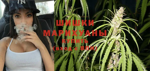 мяу мяу мука Аркадак