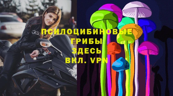 шишки Армянск