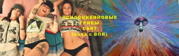 метадон Арсеньев