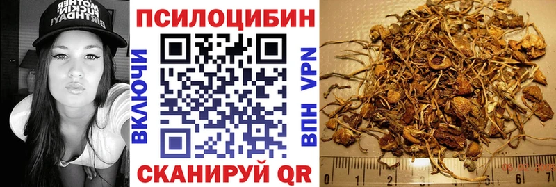 Псилоцибиновые грибы Magic Shrooms  Купить  Алупка 